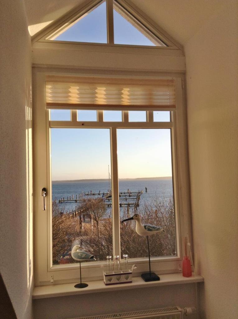 Fewo 27 Strandnahe Ferienwohnung Marlyn Rerik Esterno foto