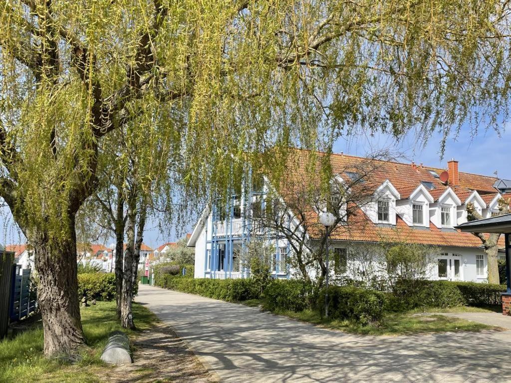 Fewo 27 Strandnahe Ferienwohnung Marlyn Rerik Esterno foto